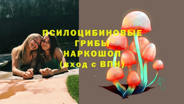 прущие крисы Алексин